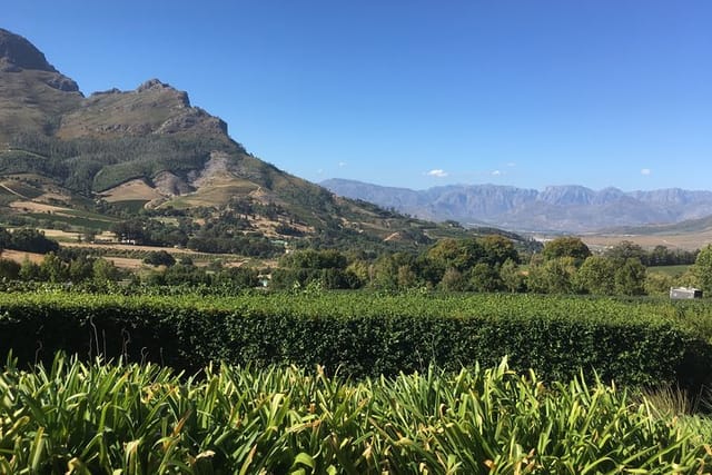 Full day South African Wine Tour (Stellenbosh, Franschhoek and Paarl) - Photo 1 of 5